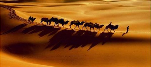 MetInfo enterprise content manager system | MetInfo CMS