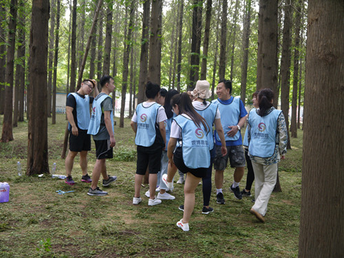 1550214584273265.jpg 5.jpg